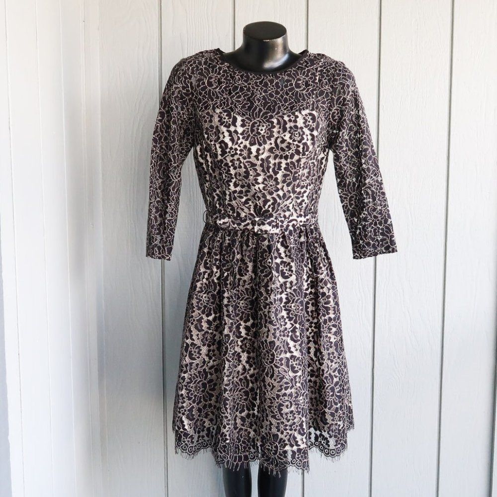 Eliza J Lace 3/4 sleeve Dress